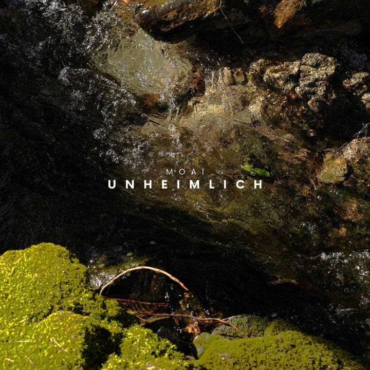 Capa de Unheimlich (album)